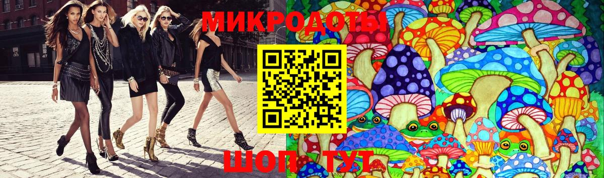 Галлюциногенные грибы Psilocybe  Вход с VPN  Советская Гавань 